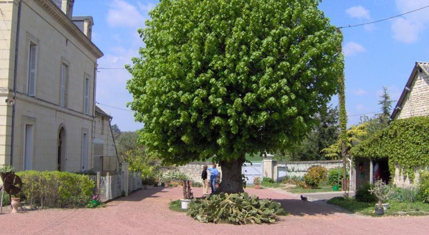 Villa Les Roulottes De Cuzay Roiffé Zimmer foto